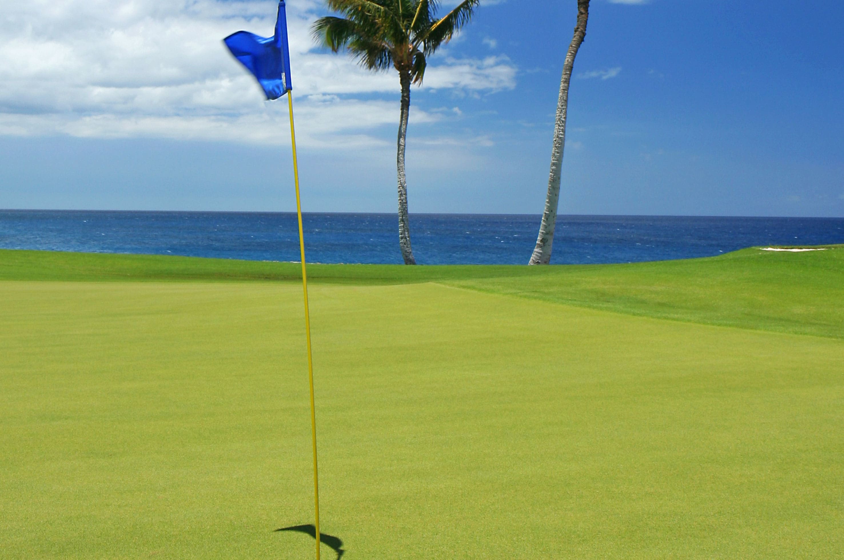 Golf en Ixtapa-Zihuatanejo